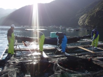 三木浦養殖場