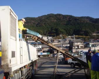 活魚車への積み込み
