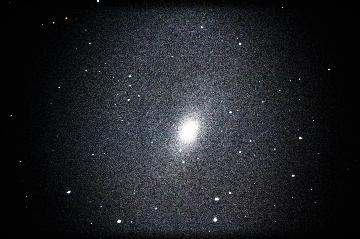 Ｍ81