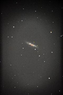 M８２超新星