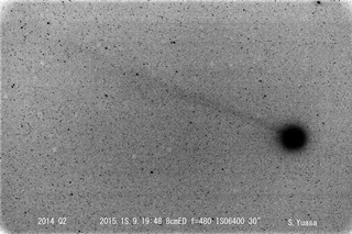 ラブジョイ彗星（モノクロ）