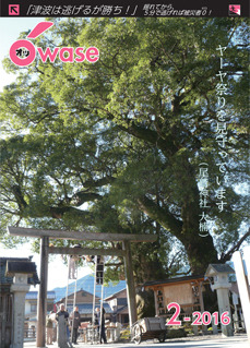 ヤーヤ祭りを見守っています（尾鷲神社 大楠）の画像