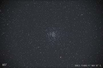 Ｍ３７