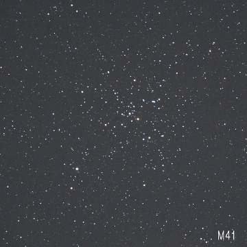 Ｍ４１