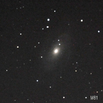 Ｍ８１