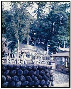 髙宮神社樹叢