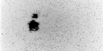 オリオン座の静止衛星（白黒反転）