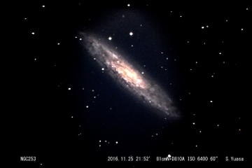 スターバースト銀河　ＮＧＣ２５３