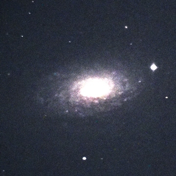 ひまわり銀河（M６３）　りょうけん座