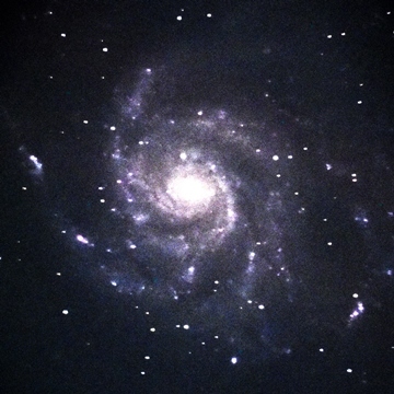 回転花火銀河（M１０１）　おおぐま座