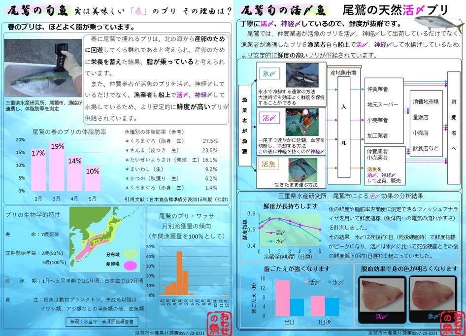 尾鷲の旬魚　リーフレット