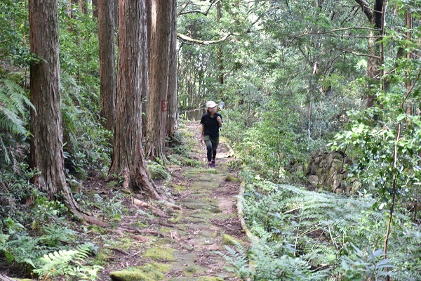 猪垣を横目に登る