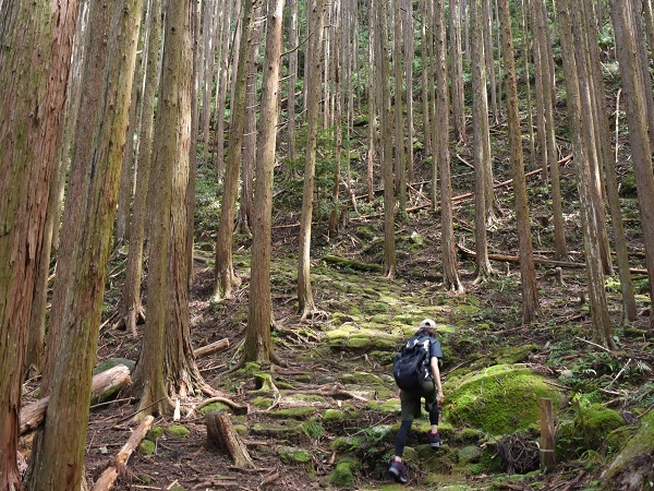 まさに古道