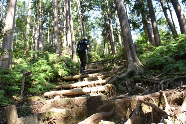 休憩を挟みつつひたすら登ります。