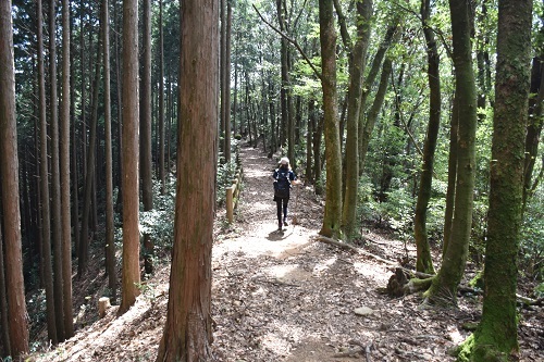 さくらの森エリアに寄り道