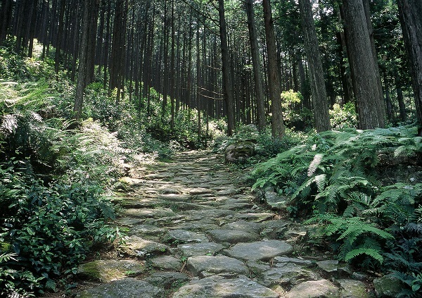 世界遺産熊野古道伊勢路コース紹介馬越峠道（外部リンク　三重県ＨＰ）