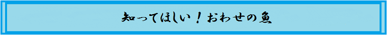 知ってほしい！おわせの魚