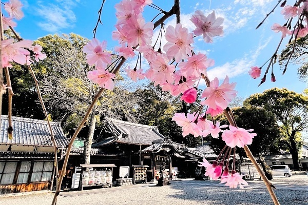 尾鷲神社