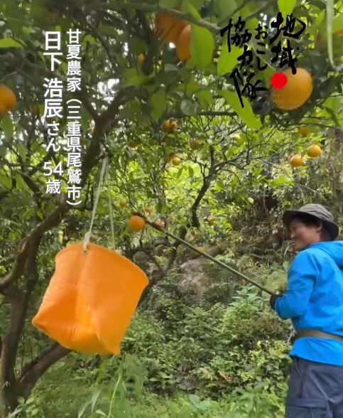 総務省地域おこし協力隊公式インスタにリンク1