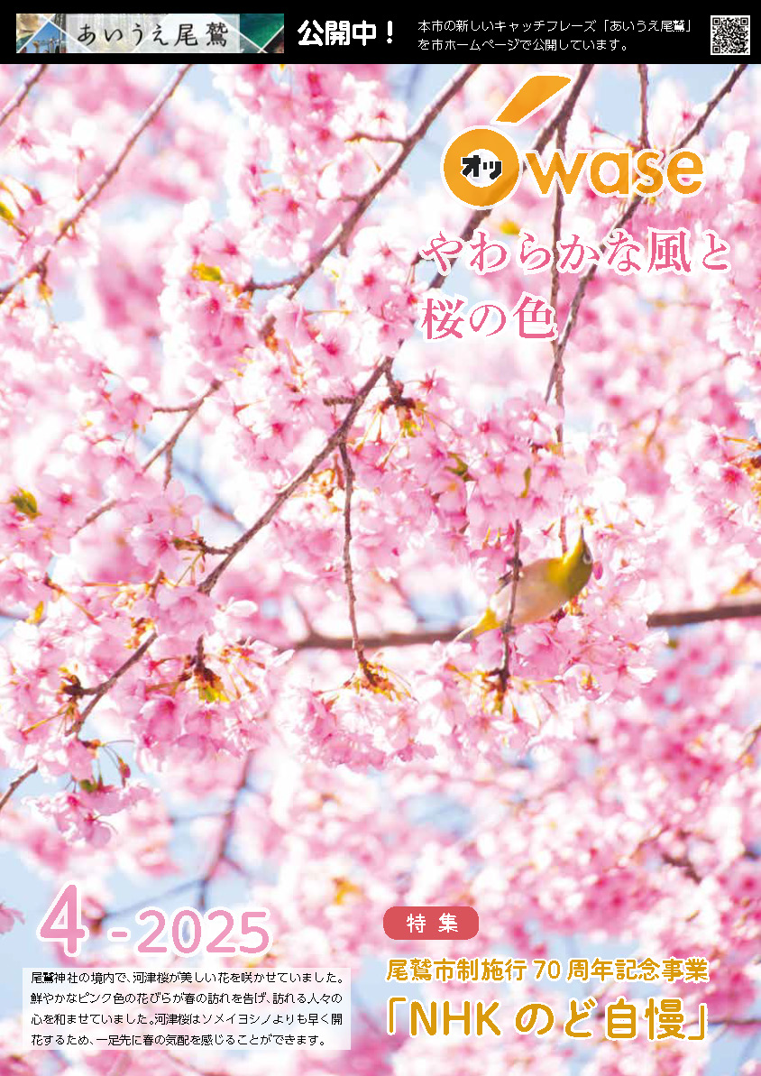 やわからな風と桜の色
