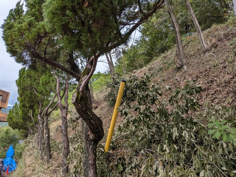 別ウィンドーへ