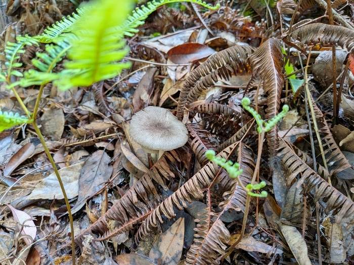 別ウィンドーへ