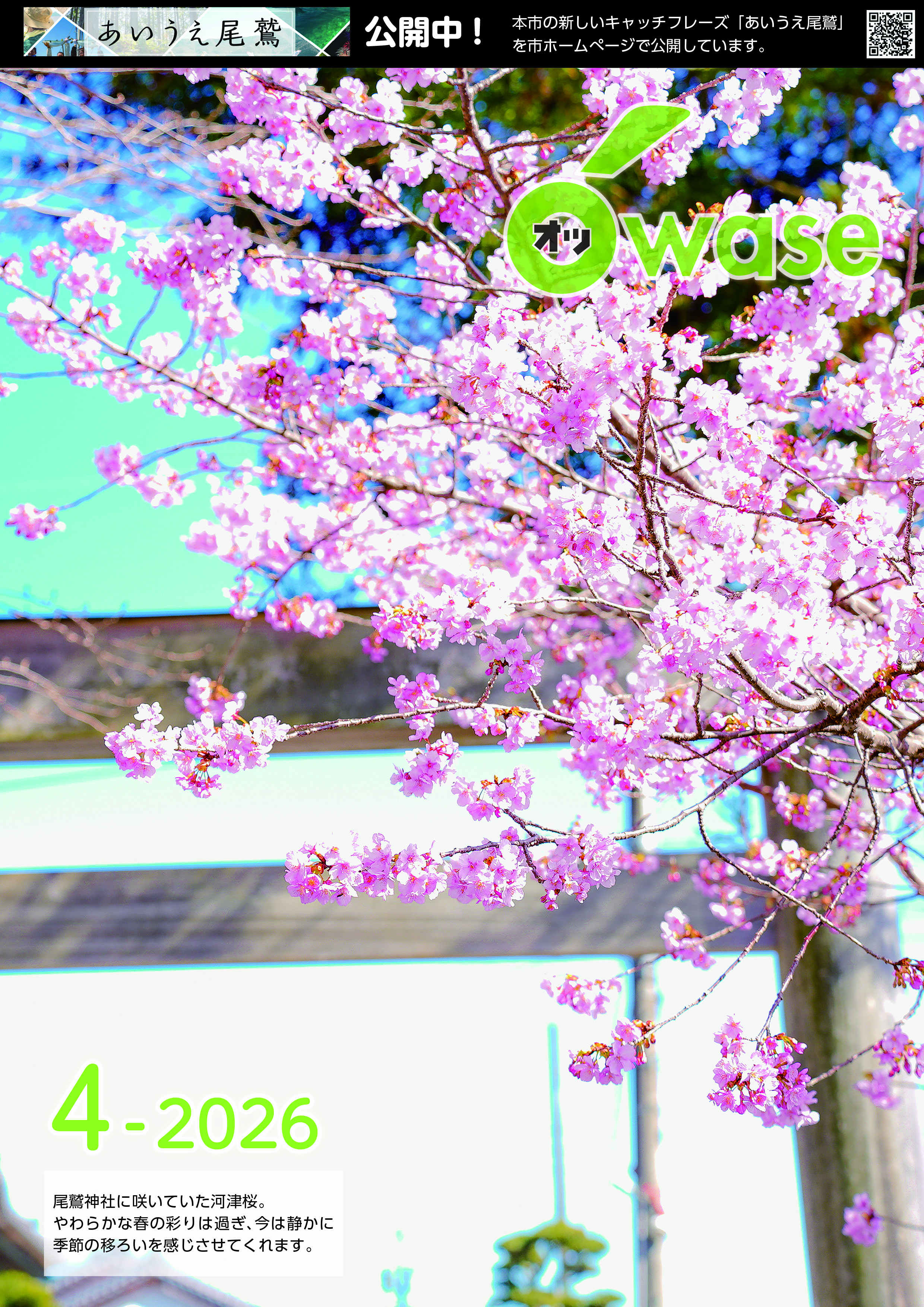 尾鷲神社　河津桜