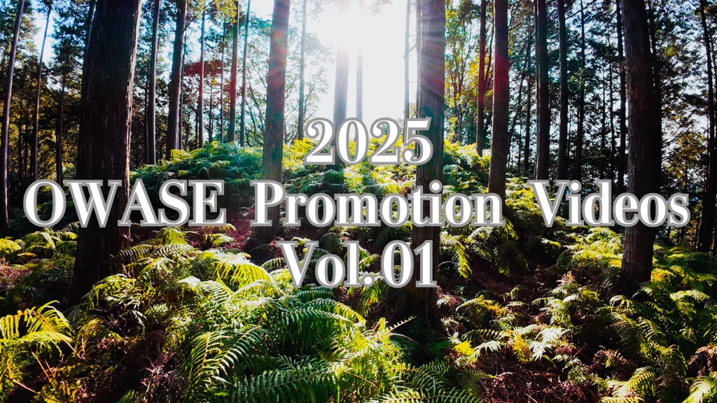 尾鷲市プロモーション動画（４K）