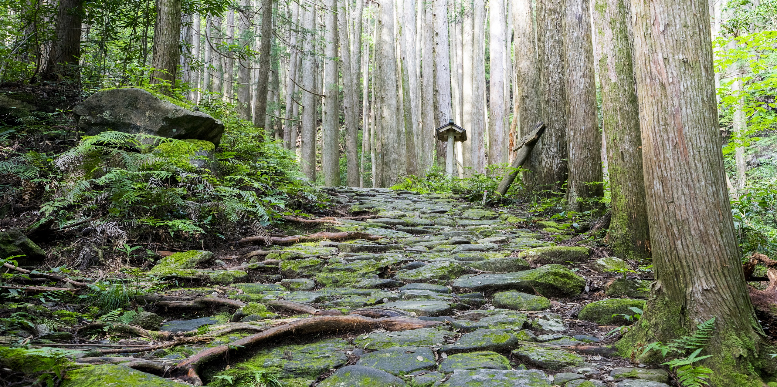 熊野古道