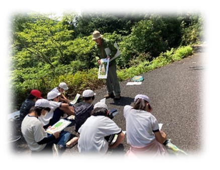 トチの花見学1