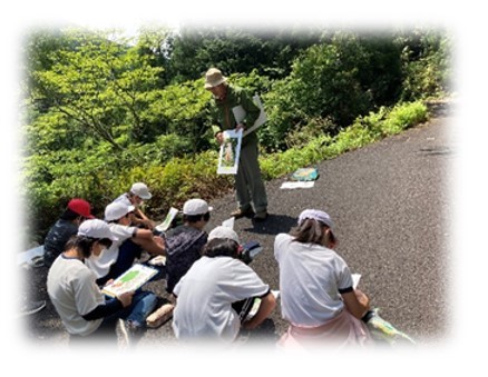 トチの花見学１