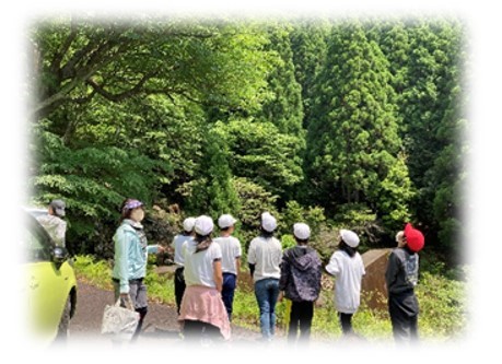 トチの花見学2