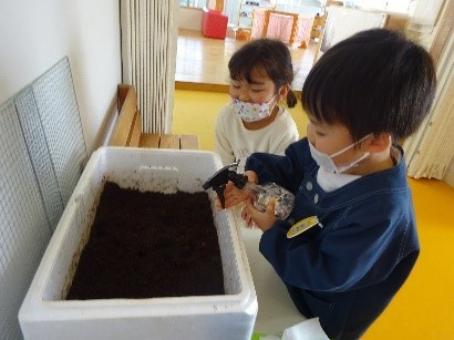 さくらちゃんとかぶちゃん