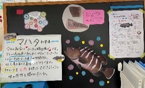 食育コーナーの写真