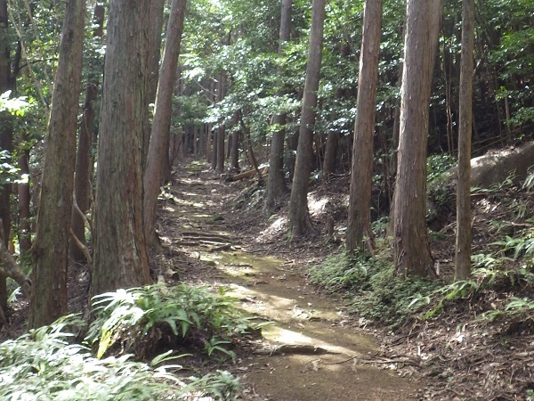 峠を越える