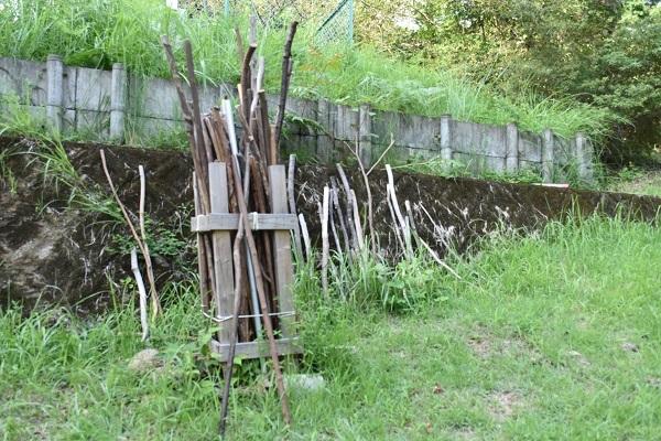 杖