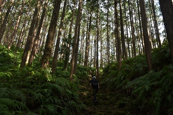 三木峠