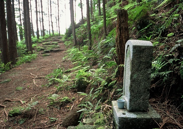 世界遺産熊野古道伊勢路コース紹介曽根次郎坂太郎坂（外部リンク三重県HP）