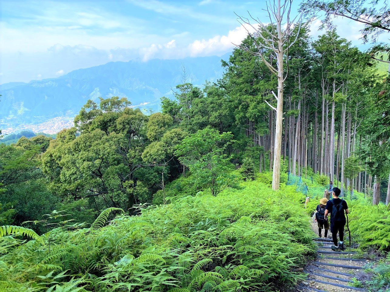 尾鷲の山