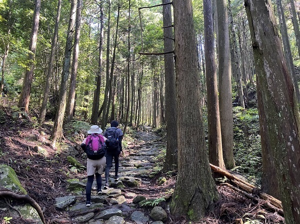 世界遺産熊野古道 馬越峠・猪ノ鼻水平道満喫コース