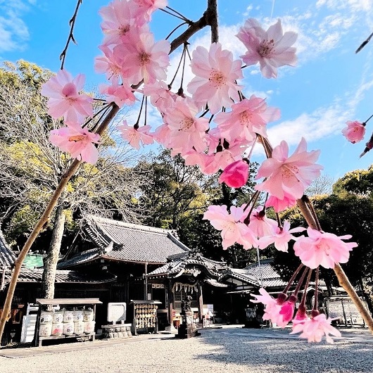 尾鷲神社